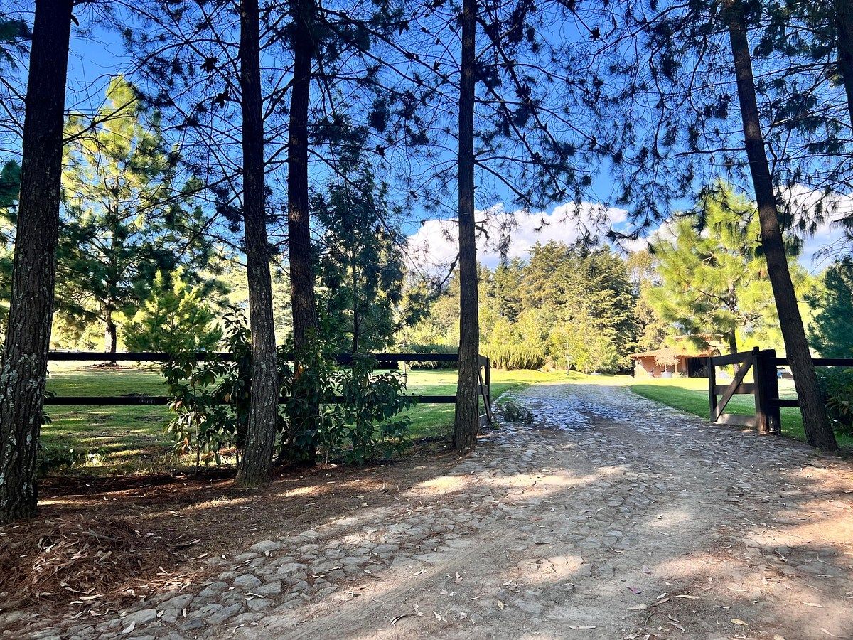 Terreno en Tapalpa, Tapalpa, foto 4 de 10