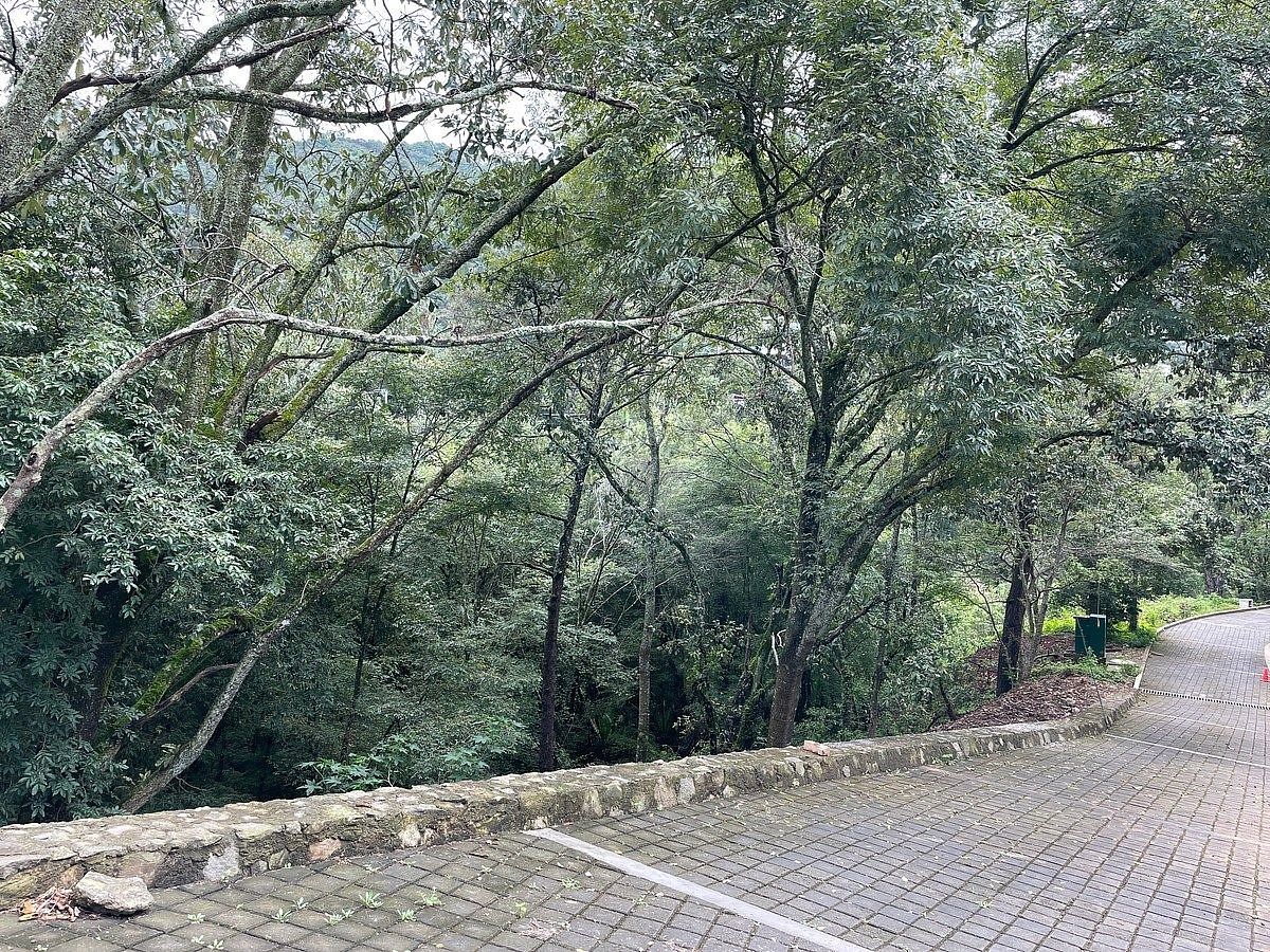 Lote em Valle de Bravo, Valle de Bravo, foto 10 de 11