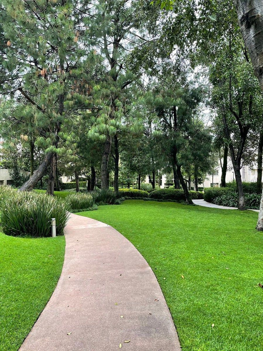 Casa en condominio en Lomas de Vista Hermosa, Cuajimalpa de Morelos, foto 20 de 22