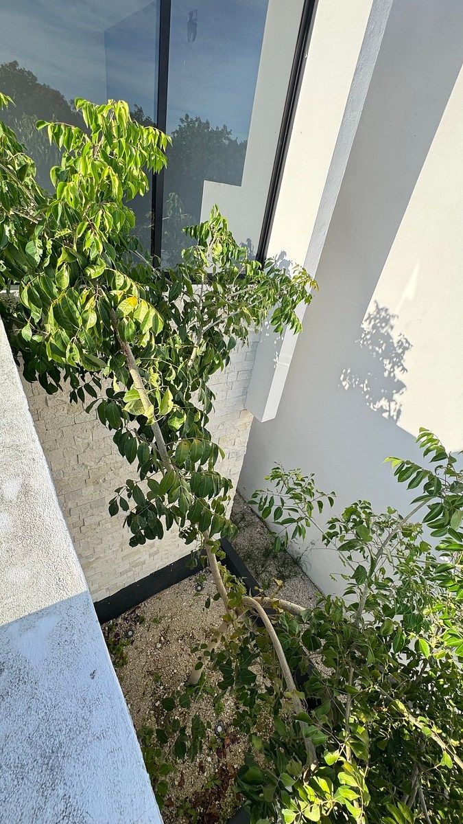 House in Cholul, Mérida, photo 23 of 23