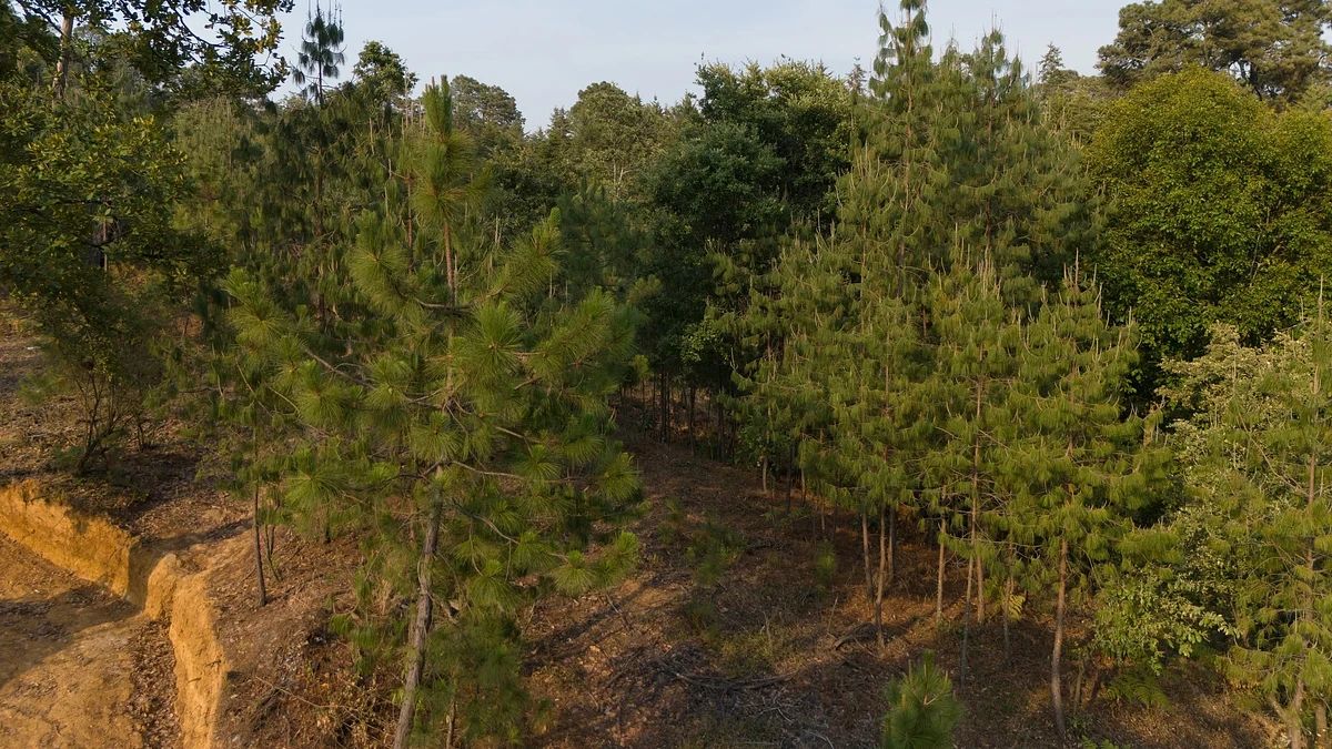 Terreno en venta en CONDOMINIO en Rincón de Estradas, foto 1 de 10
