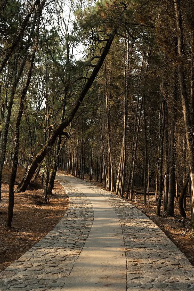 Terreno en Rincón de Estradas, Valle de Bravo, foto 3 de 10