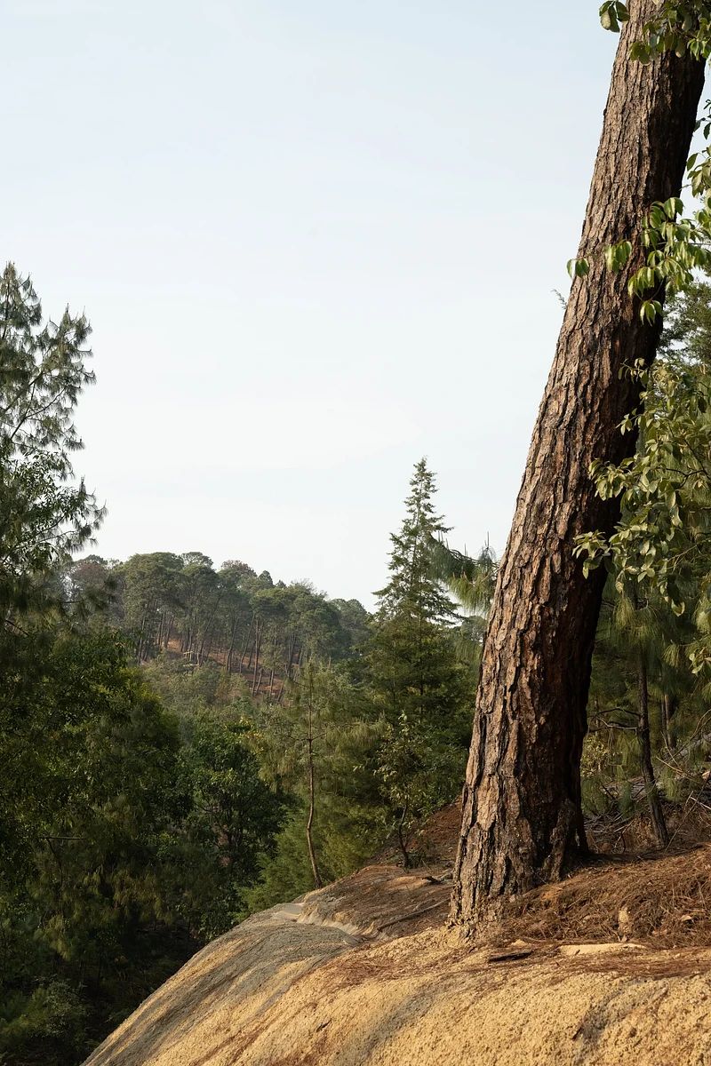 Terreno en Rincón de Estradas, Valle de Bravo, foto 4 de 10