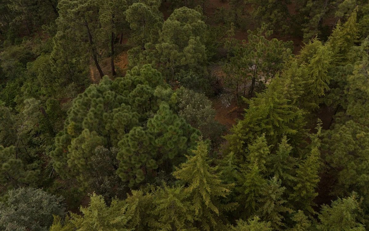 Terreno en Rincón de Estradas, Valle de Bravo, foto 6 de 10