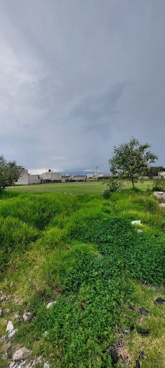 Lot in San Lorenzo Tepaltitlán Centro, Toluca, photo 2 of 8