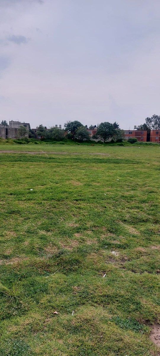 Lot in San Lorenzo Tepaltitlán Centro, Toluca, photo 3 of 8