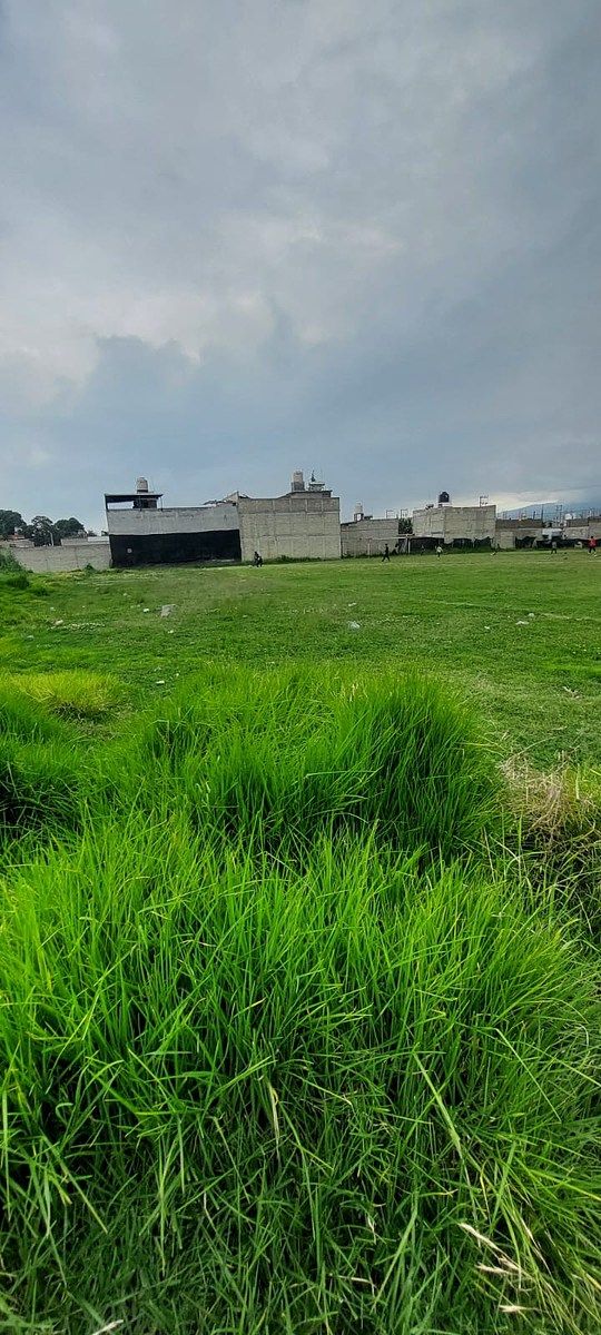 Lot in San Lorenzo Tepaltitlán Centro, Toluca, photo 6 of 8