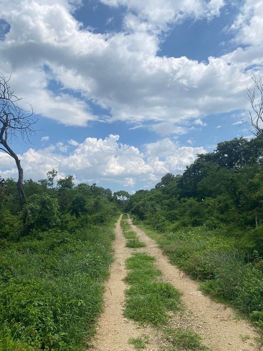 Terreno en Komchen, Mérida, foto 5 de 9
