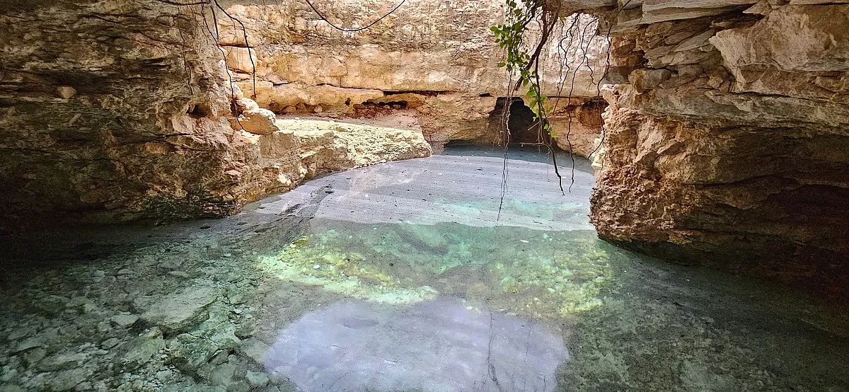Land for Sale with CENOTE in Sierra Papacal, photo 1 of 20