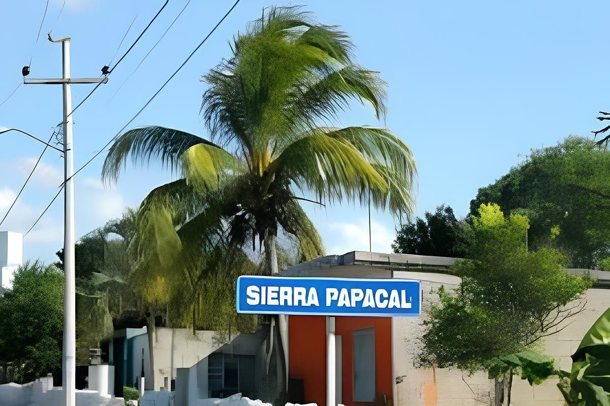 Lot in Sierra Papacal, Mérida, photo 10 of 20