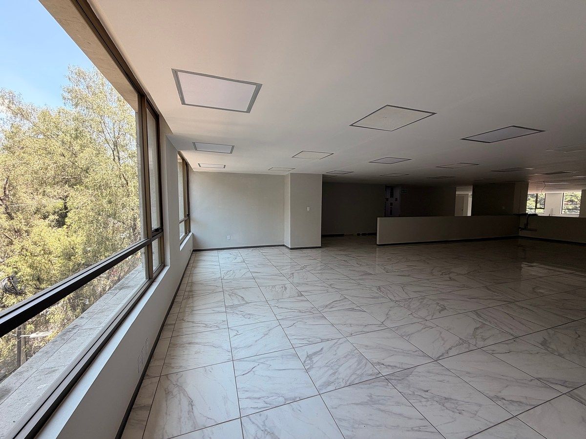 Sala Comercial em San Ángel, Álvaro Obregón, foto 10 de 13