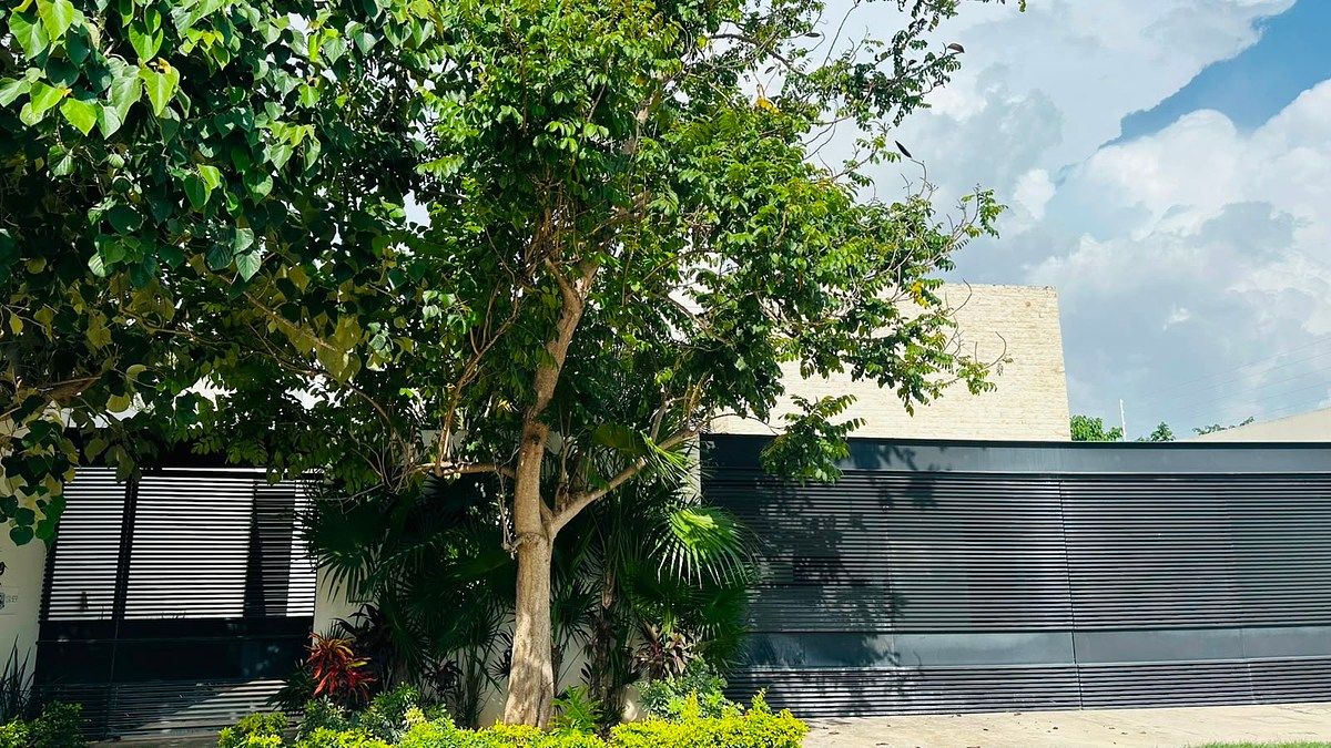 Single-story house for rent in Dzitya, photo 1 of 12