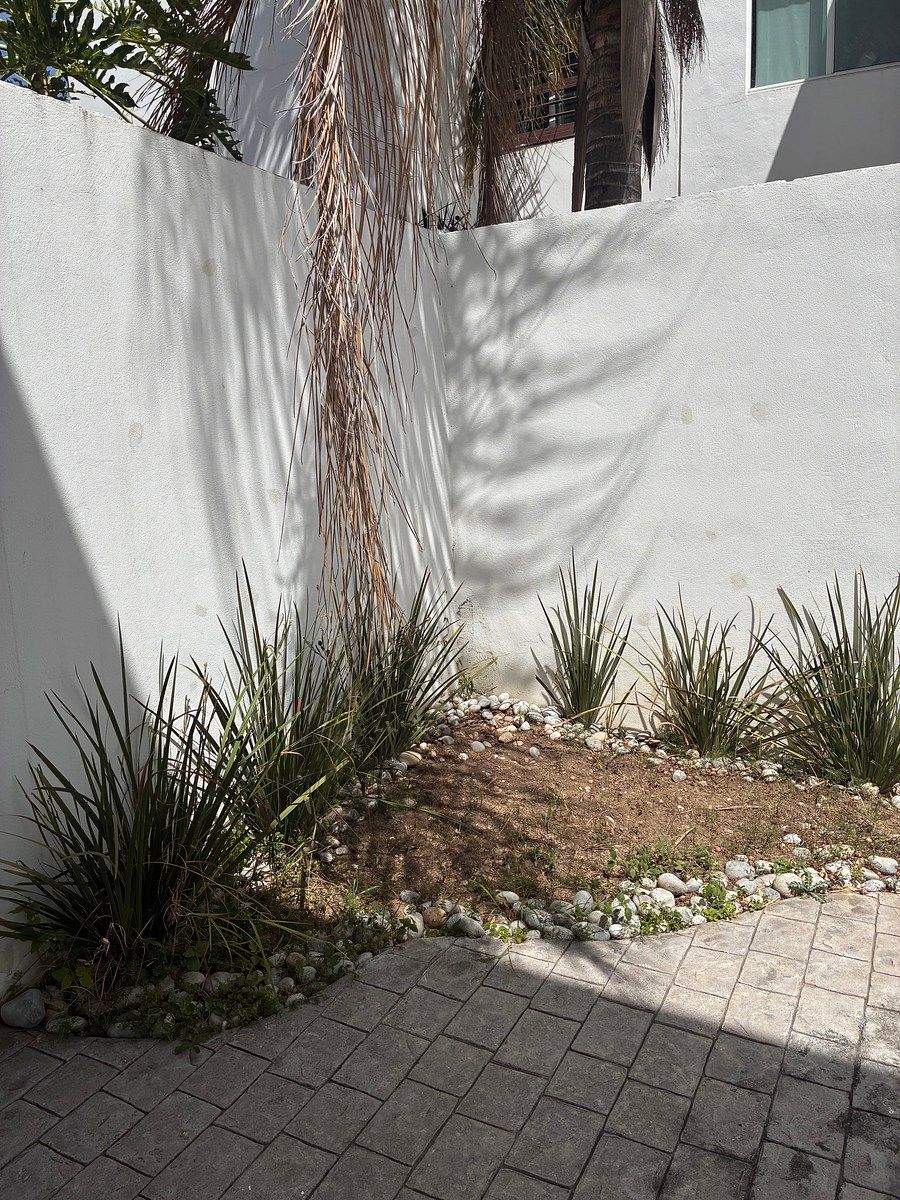 Casa en Residencial de la Sierra, Monterrey, foto 12 de 12