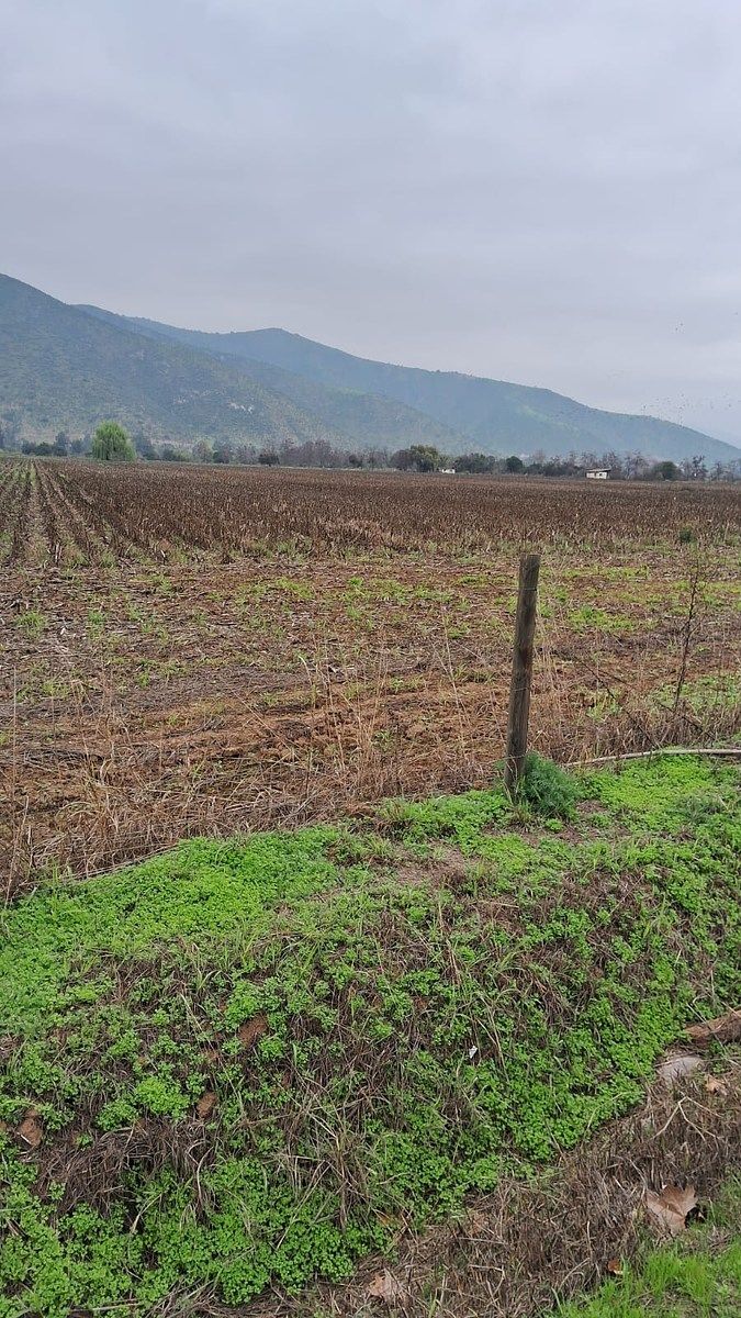 Terreno en Curacaví, foto 4 de 6