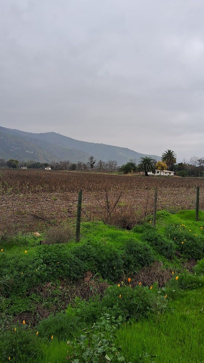 Terreno en Curacaví, foto 2 de 6