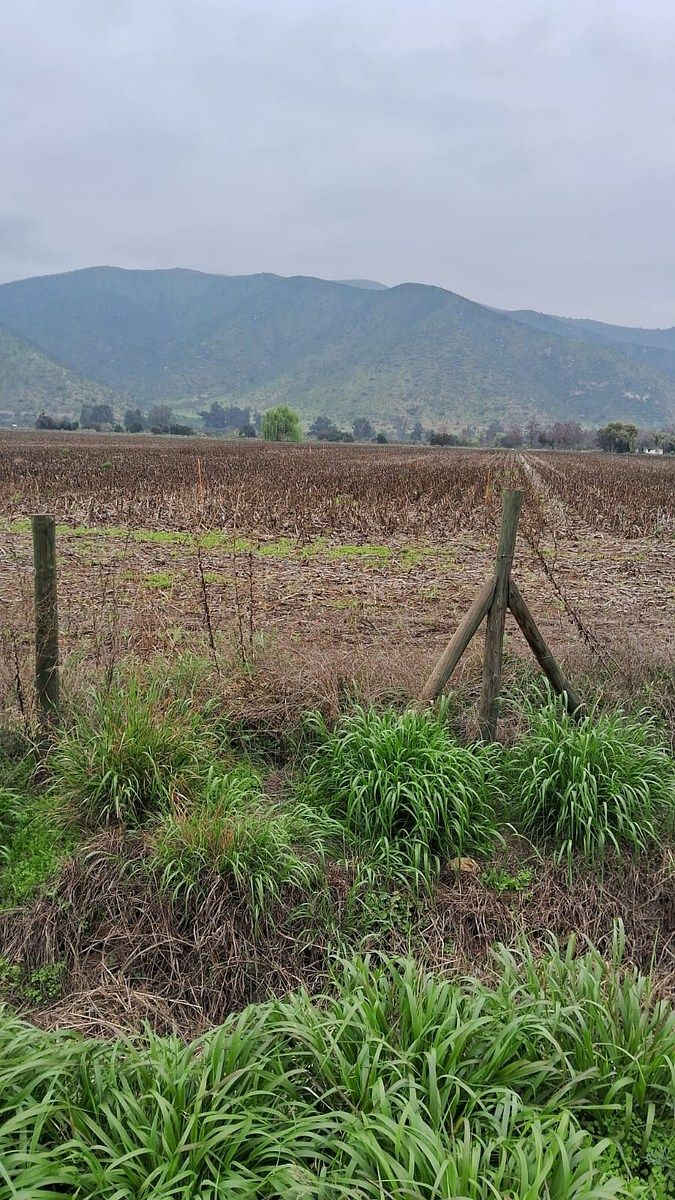 Terreno en Curacaví, foto 5 de 6
