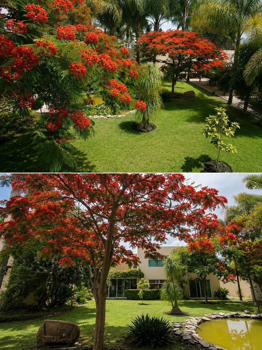 House in Jurica, Querétaro, photo 15 of 21