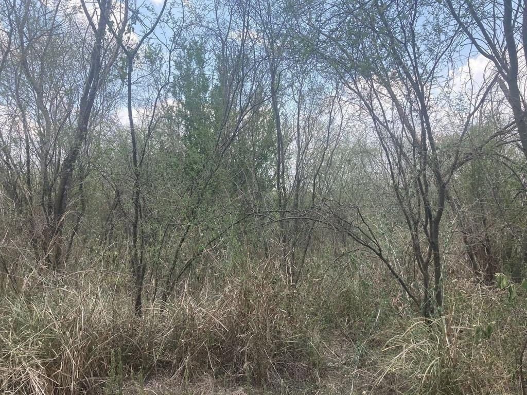 Terreno en Palmitos (Hacienda Palmitos), Cadereyta Jiménez, foto 3 de 7