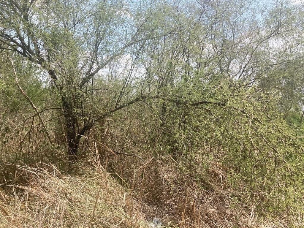 Terreno en Palmitos (Hacienda Palmitos), Cadereyta Jiménez, foto 4 de 7