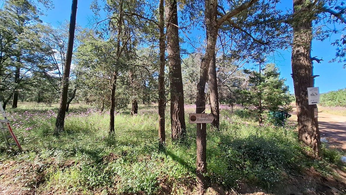 Lot in Llano Grande, Durango, photo 5 of 10