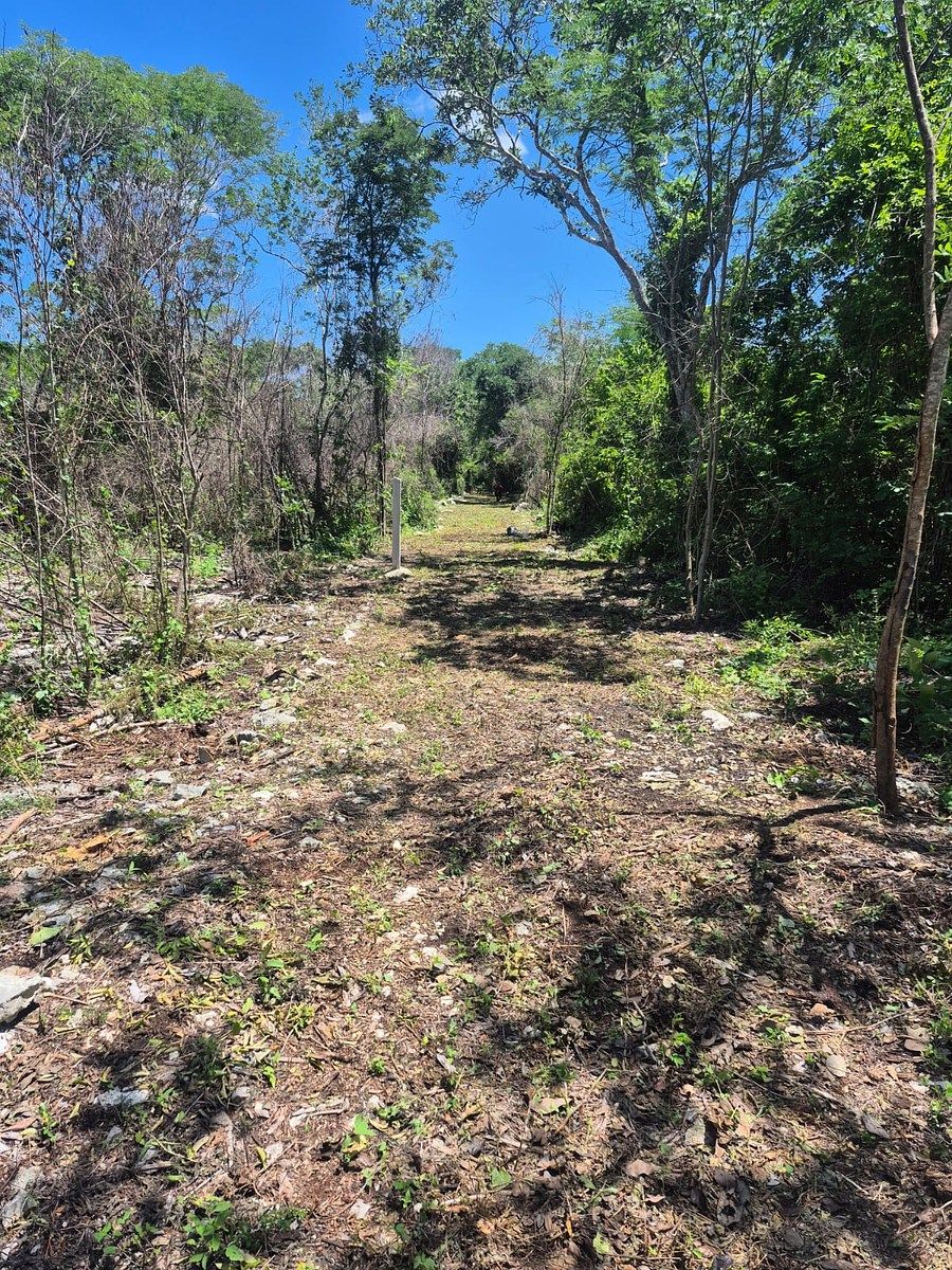 Lote em San Antonio Chel, Hunucmá, foto 5 de 8
