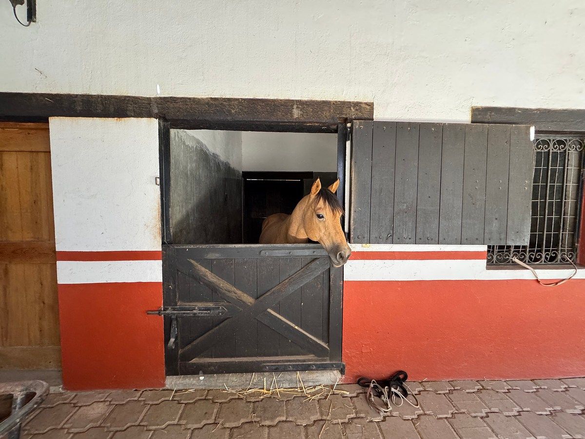 Ranch in Villa de los Frailes, San Miguel de Allende, photo 34 of 50