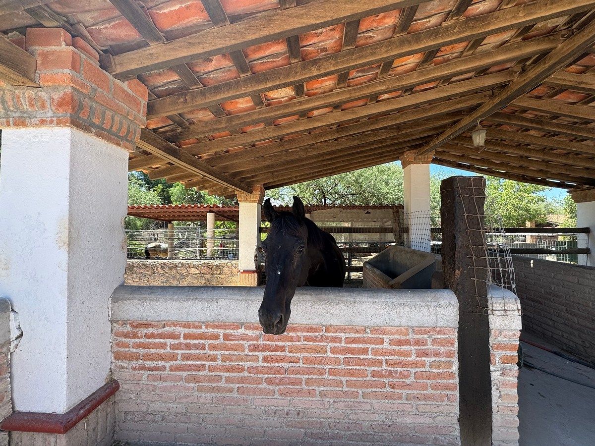 Ranch in Villa de los Frailes, San Miguel de Allende, photo 47 of 50
