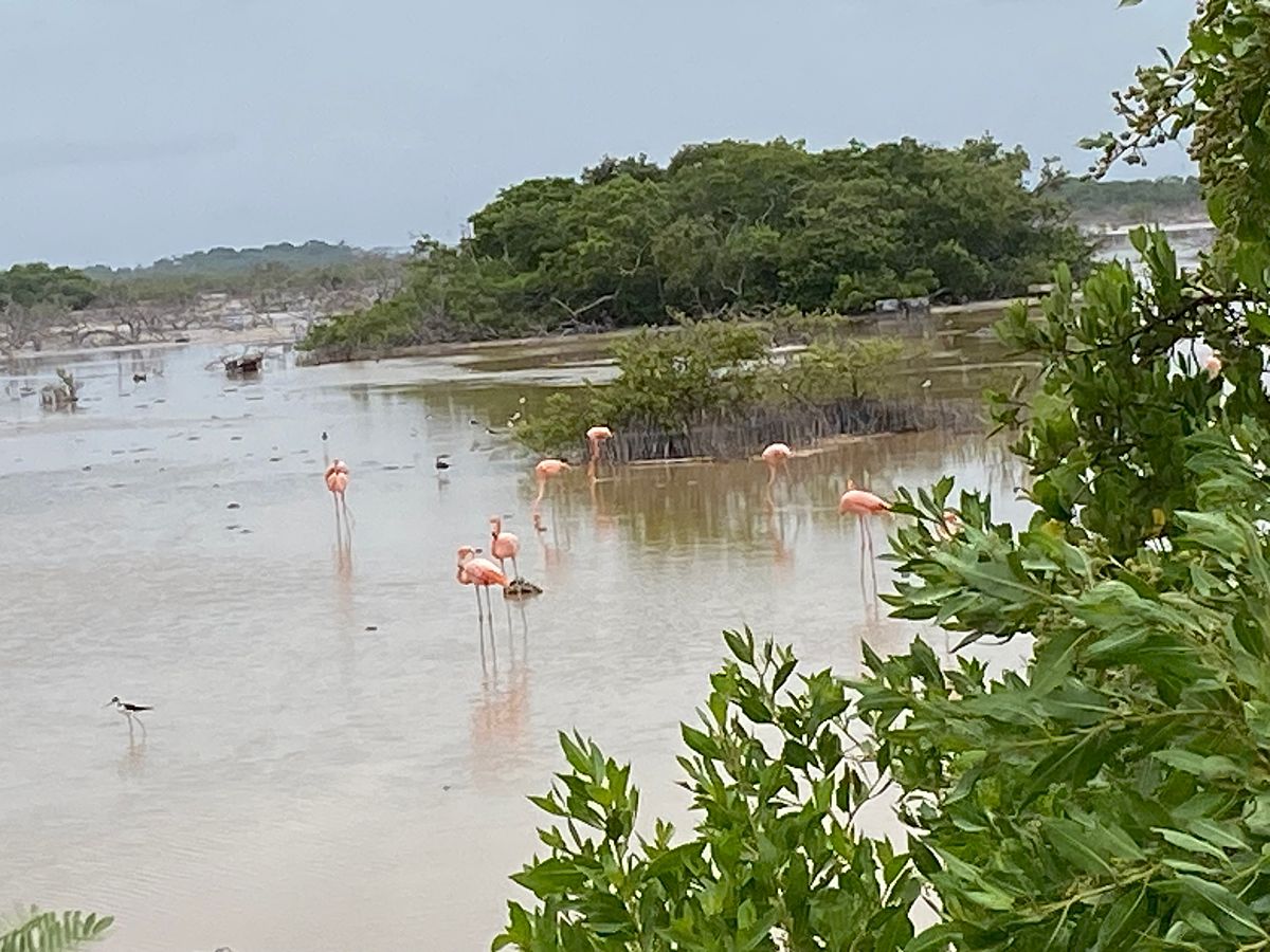 Casa en San Benito, Dzemul, foto 50 de 50