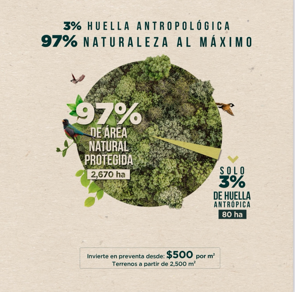 Lote em Tapalpa, Tapalpa, foto 13 de 22
