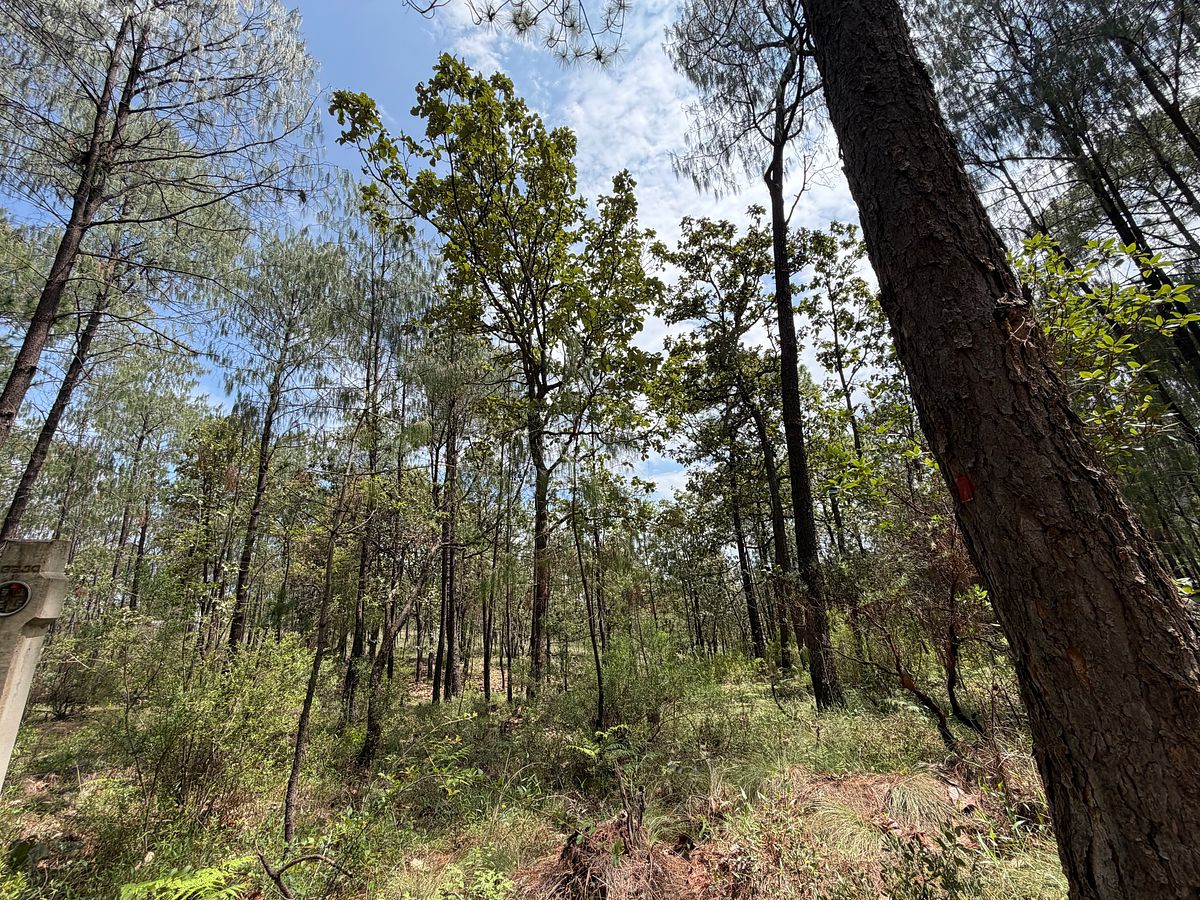 Lote em Tapalpa, Tapalpa, foto 20 de 22