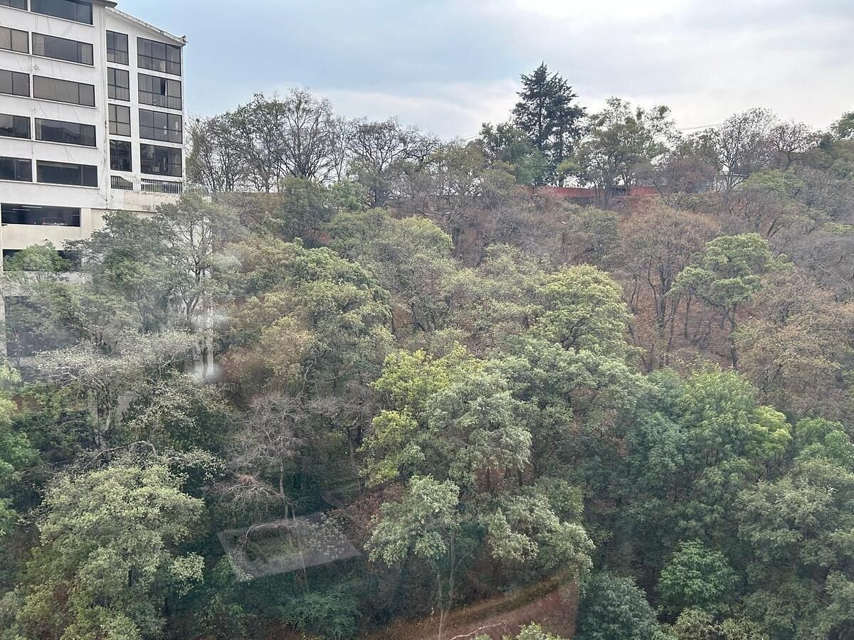 Apartment in Bosques de las Lomas, Cuajimalpa de Morelos, photo 10 of 13