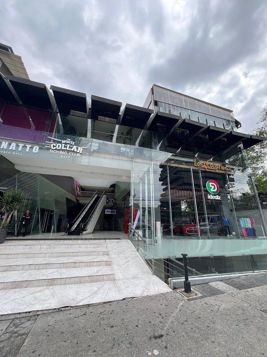 Local comercial en Lomas de Chapultepec I Sección, Miguel Hidalgo, foto 14 de 16