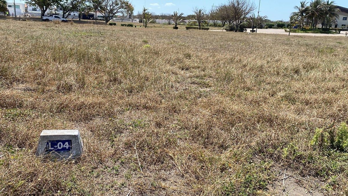 Terreno en Las Olas, Alvarado, foto 2 de 3