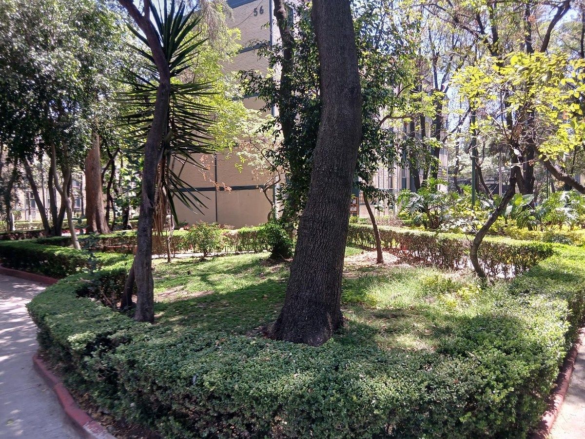 Apartamento em Lomas de Sotelo, Miguel Hidalgo, foto 4 de 16