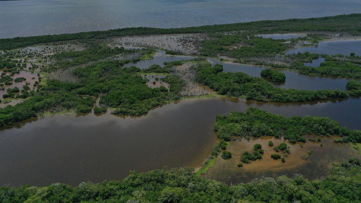 Lot in Isla Aguada, Carmen, photo 3 of 6