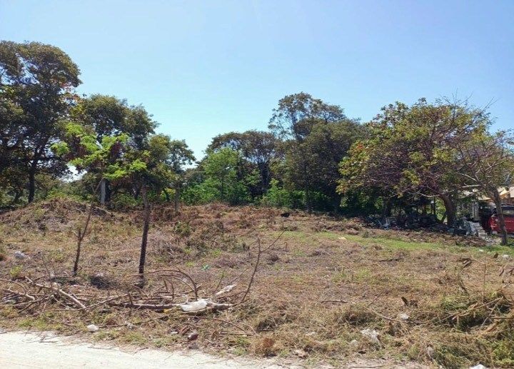Lot in Isla Aguada, Carmen, photo 4 of 6