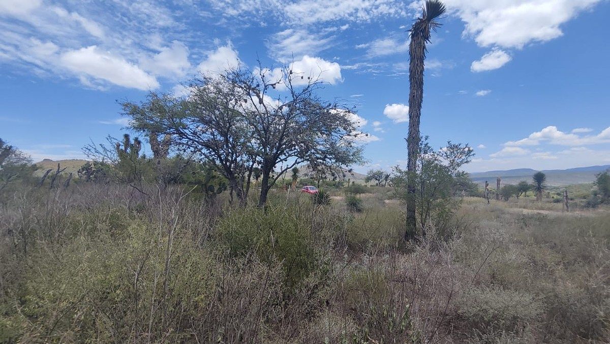 Terreno en Armadillo de los Infante, Armadillo de los Infante, foto 3 de 12