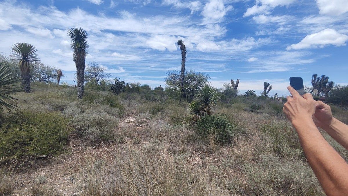 Terreno en Armadillo de los Infante, Armadillo de los Infante, foto 4 de 12