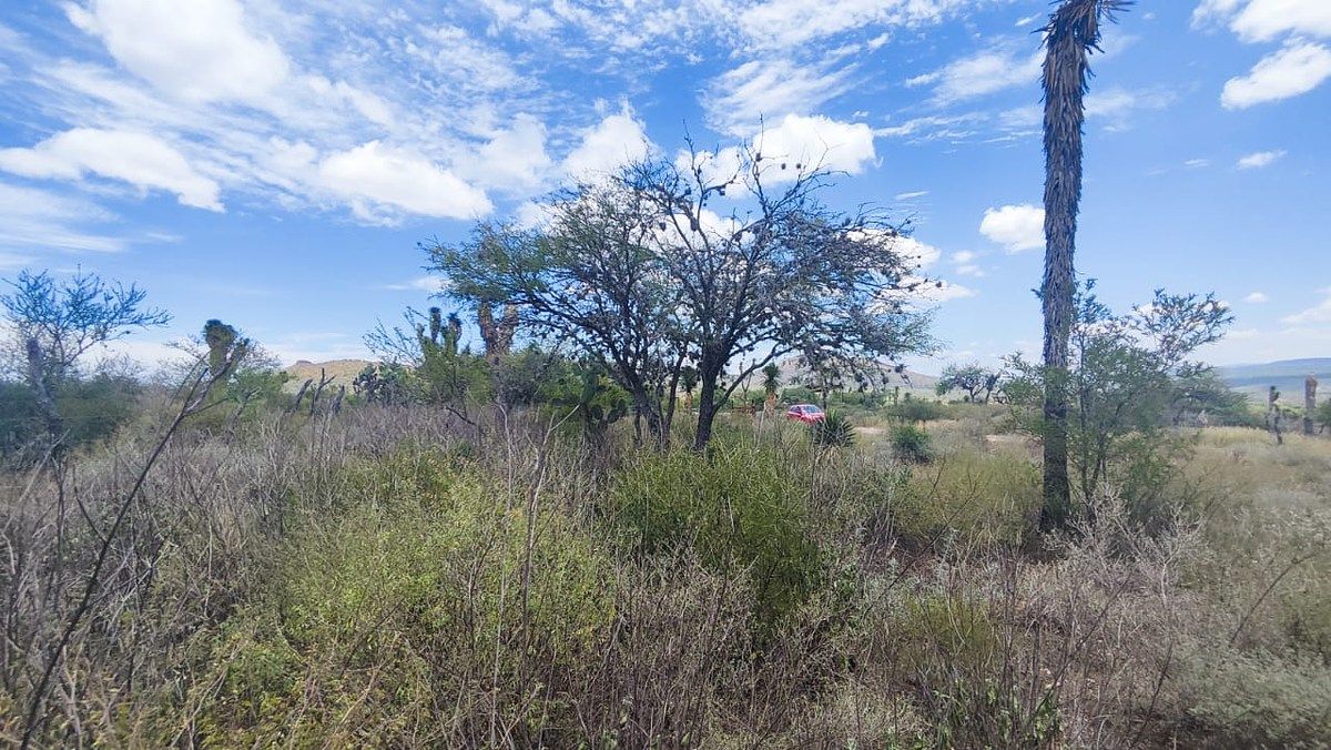 Terreno en Armadillo de los Infante, Armadillo de los Infante, foto 5 de 12