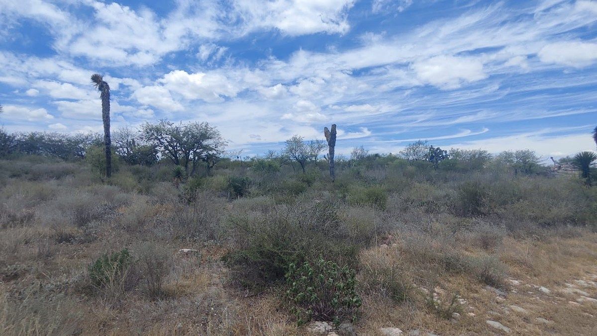 Terreno en Armadillo de los Infante, Armadillo de los Infante, foto 6 de 12