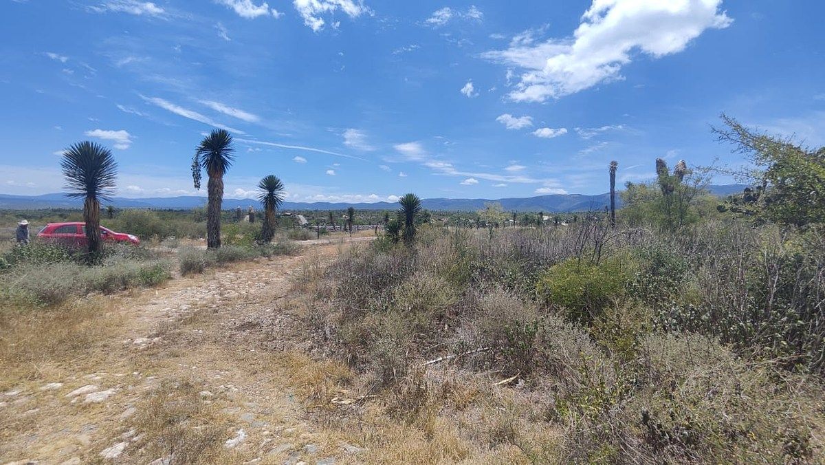 Terreno en Armadillo de los Infante, Armadillo de los Infante, foto 9 de 12