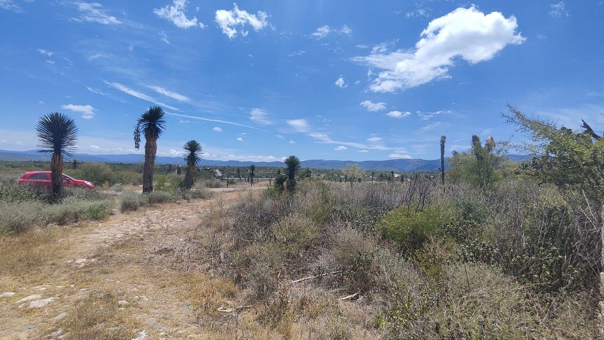 Terreno en Armadillo de los Infante, Armadillo de los Infante, foto 10 de 12
