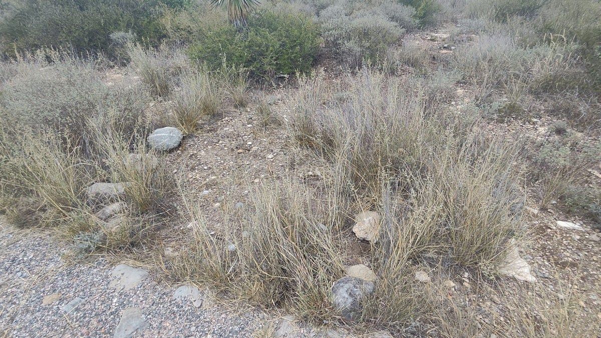 Terreno en Armadillo de los Infante, Armadillo de los Infante, foto 12 de 12