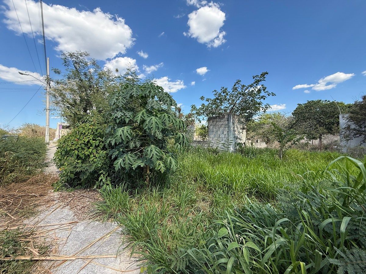 Lot in Leona Vicario, Kanasín, photo 4 of 10