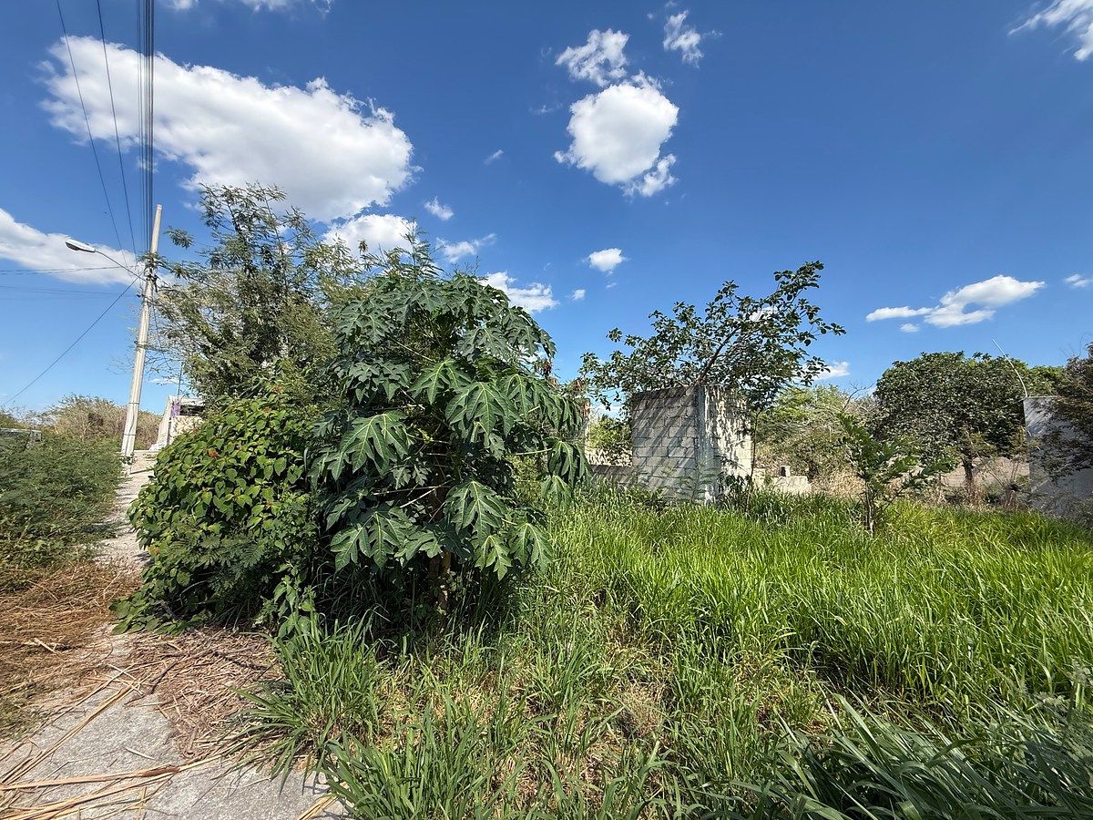 Lot in Leona Vicario, Kanasín, photo 8 of 10