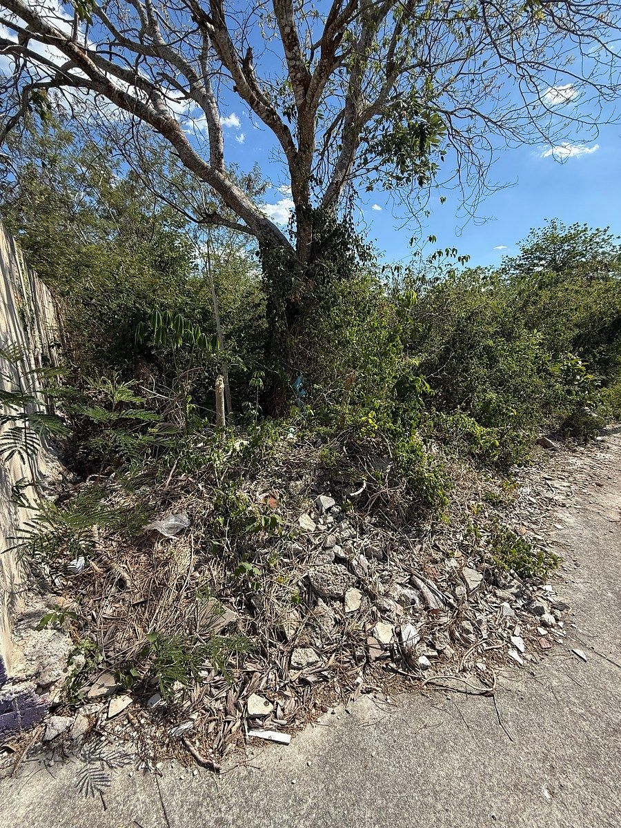 Lote em Leona Vicario, Kanasín, foto 3 de 10