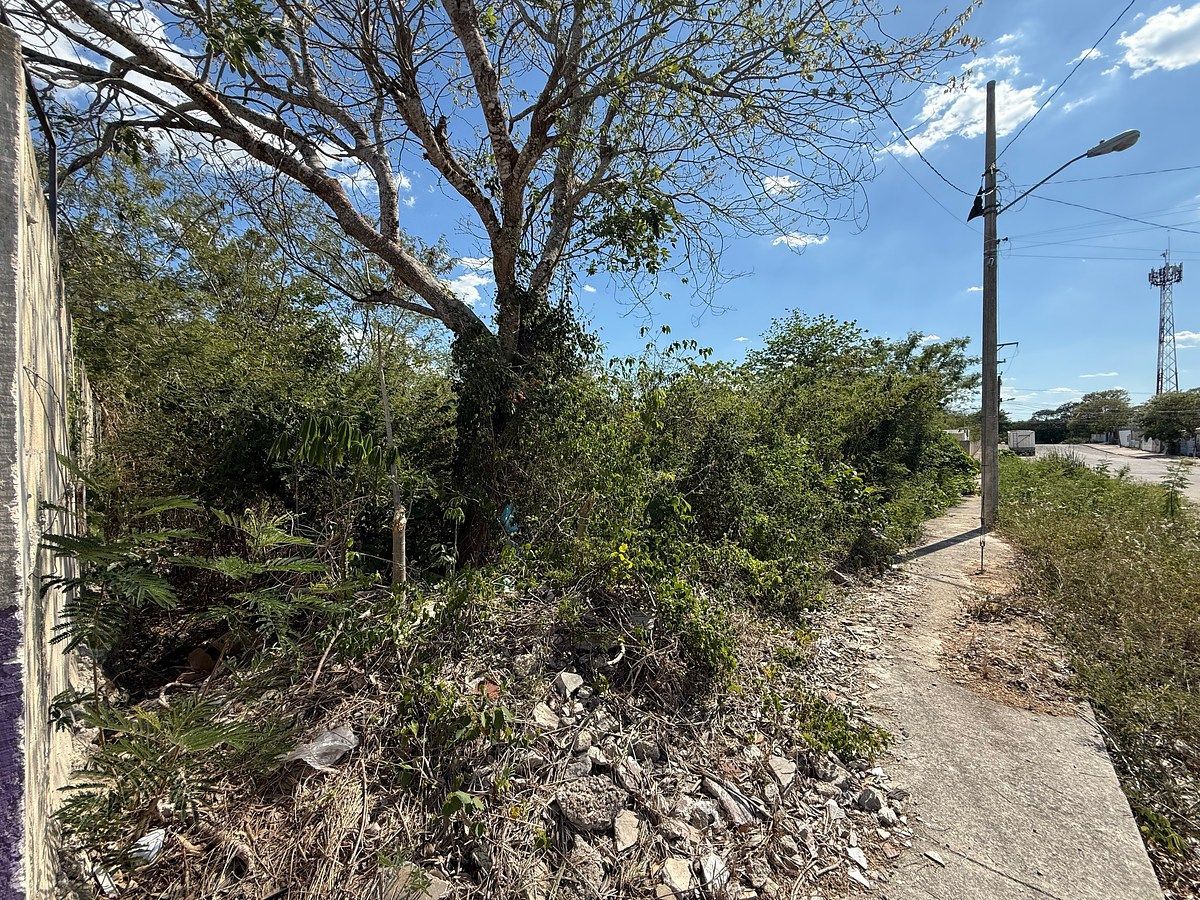 Lote em Leona Vicario, Kanasín, foto 5 de 10
