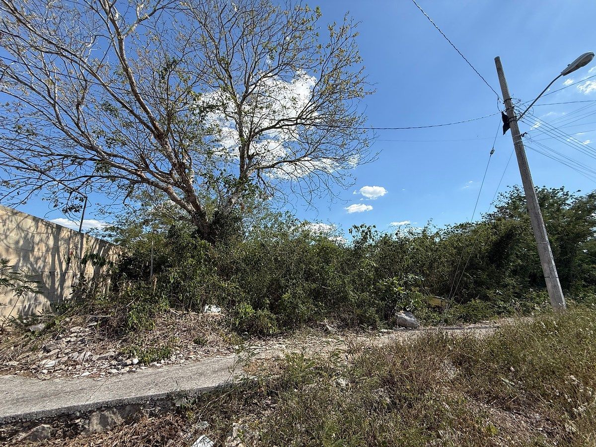 Lote em Leona Vicario, Kanasín, foto 6 de 10