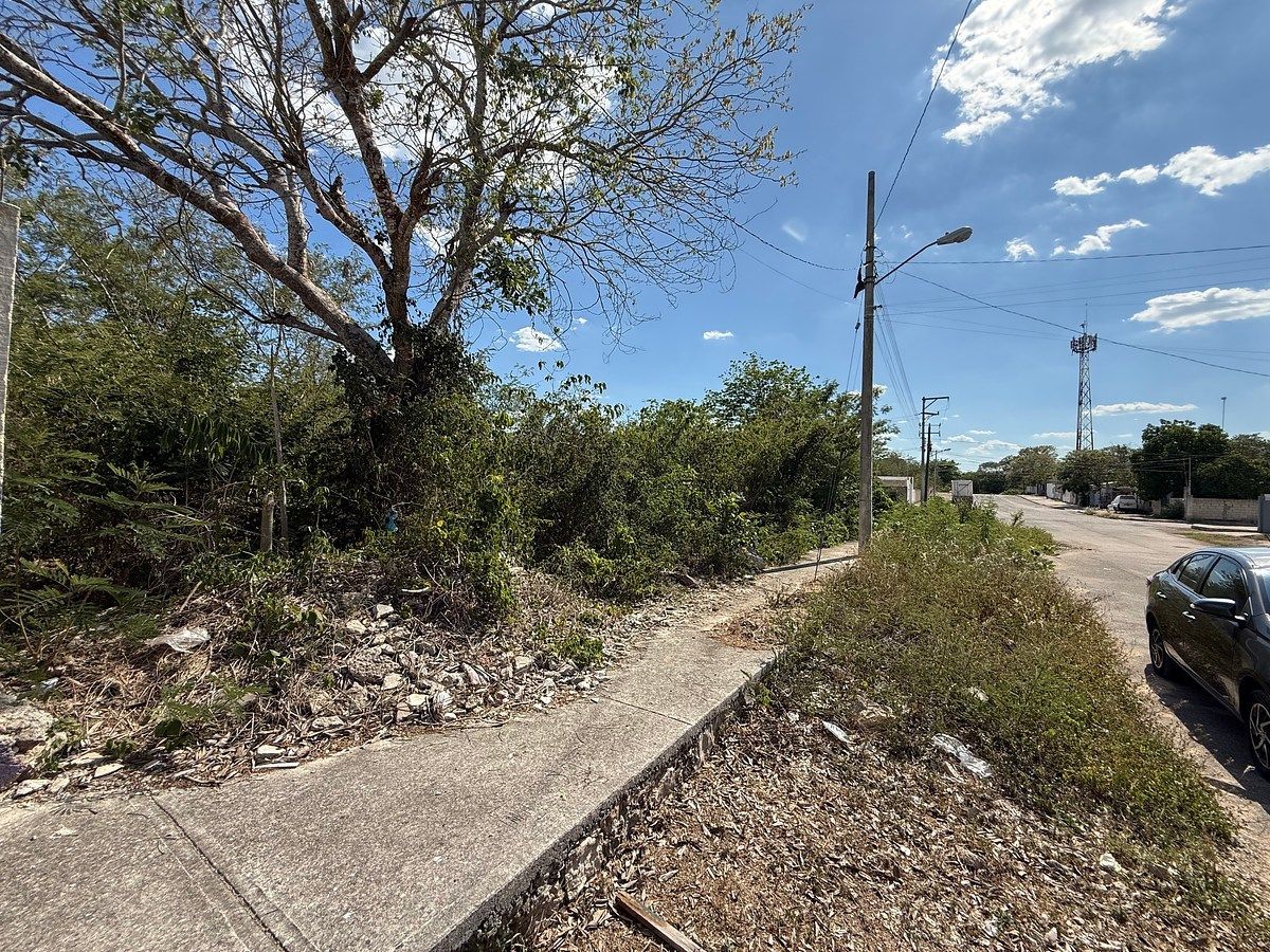 Lote em Leona Vicario, Kanasín, foto 7 de 10