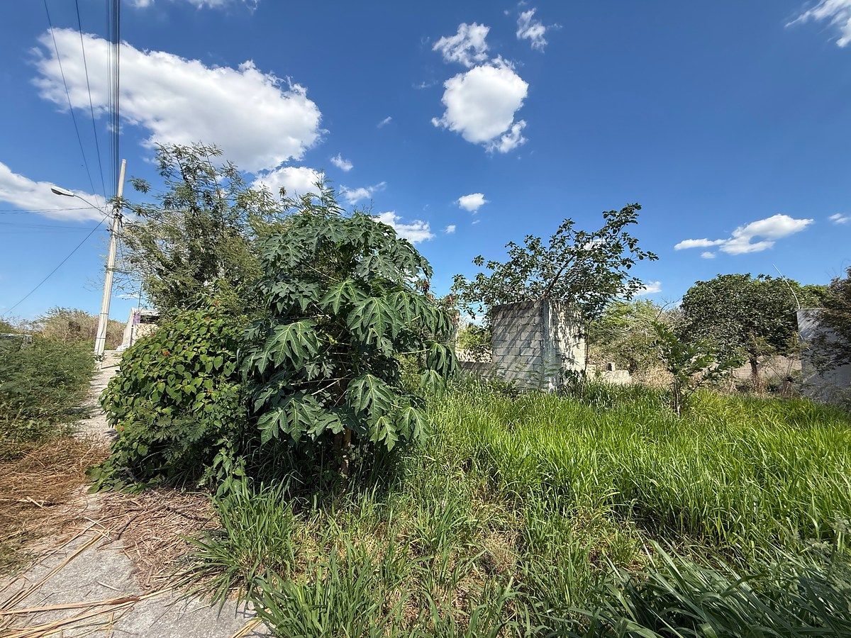 Lote em Leona Vicario, Kanasín, foto 8 de 10